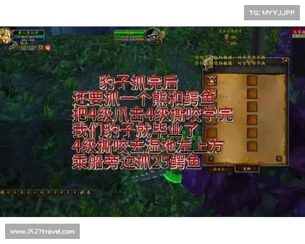 魔兽世界宝宝攻击技能自动化探索